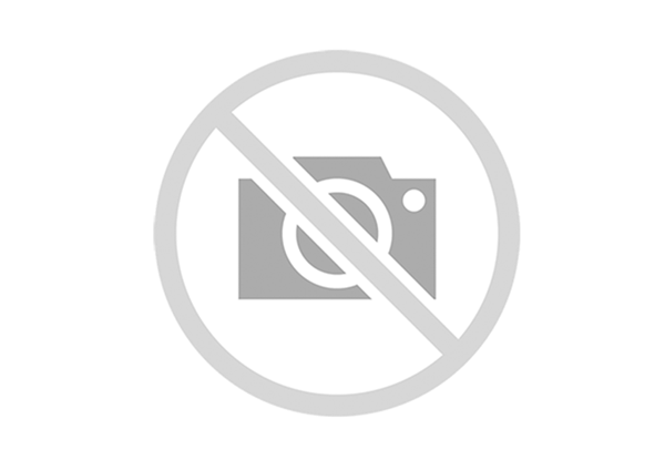 ALA10CNO45DFR1/52L-VTC07H603D-S1596